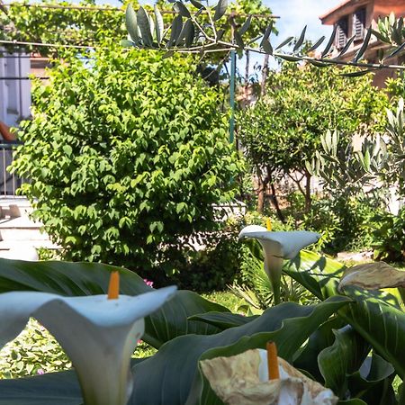 Marjan Hill 3-Br Apt,5 Guests Private Garden Near Beach Split Exterior foto